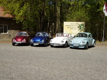 Käferfamilie 2009